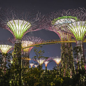 Gardens by the Bay, Singapore